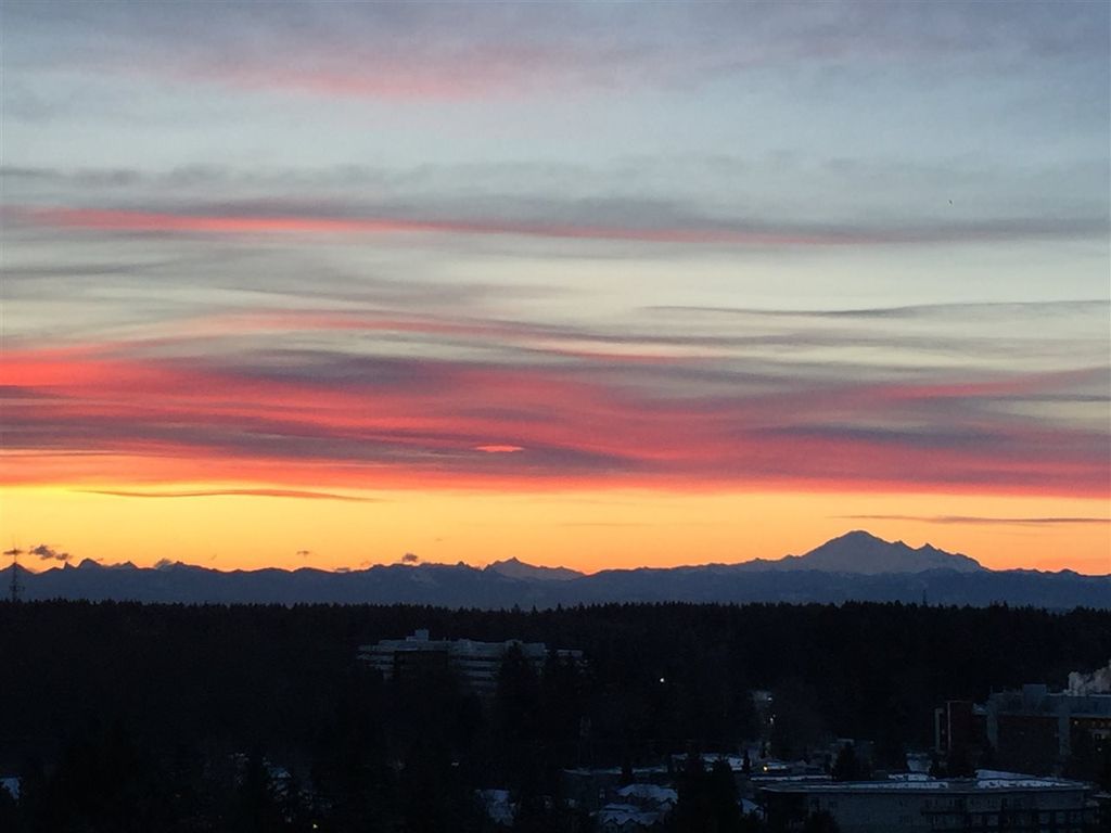 listing image 1105921720259643991