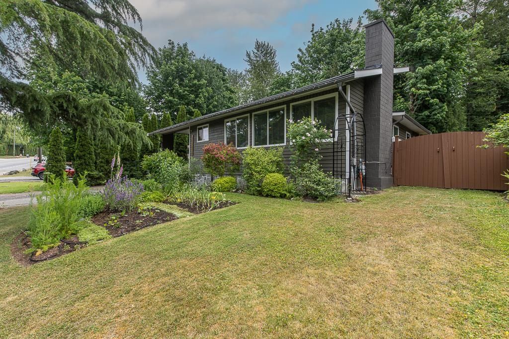 listing image 1102623513501131998