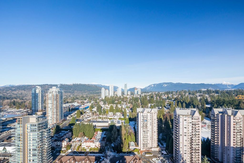 listing image 1100748925977911706