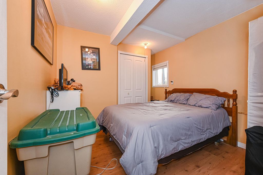 listing image 1104096678120201811