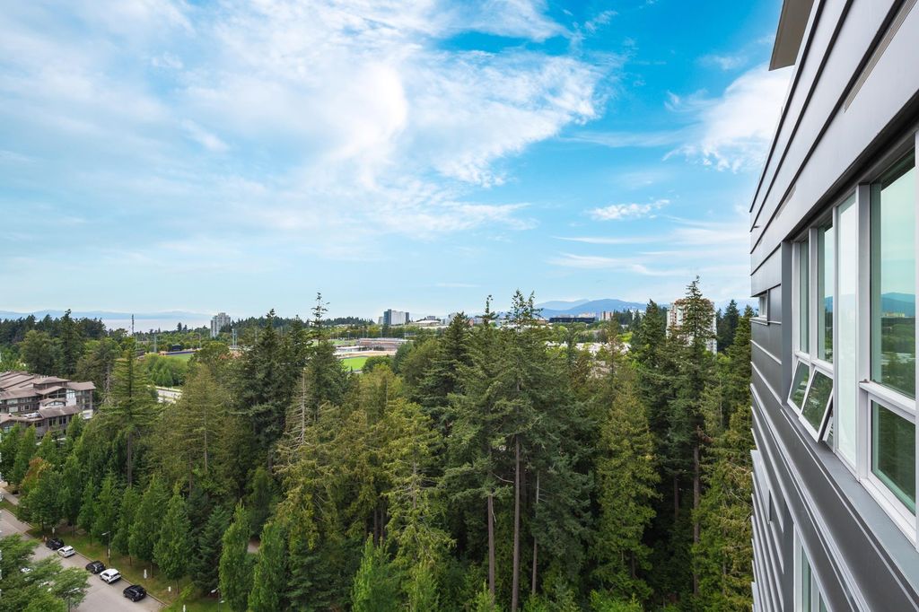 listing image 1102405384399102866