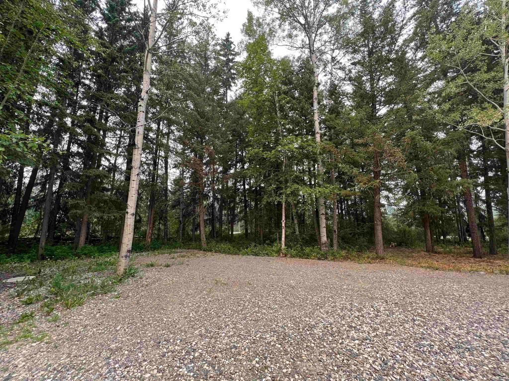 listing image 1105119158559922161