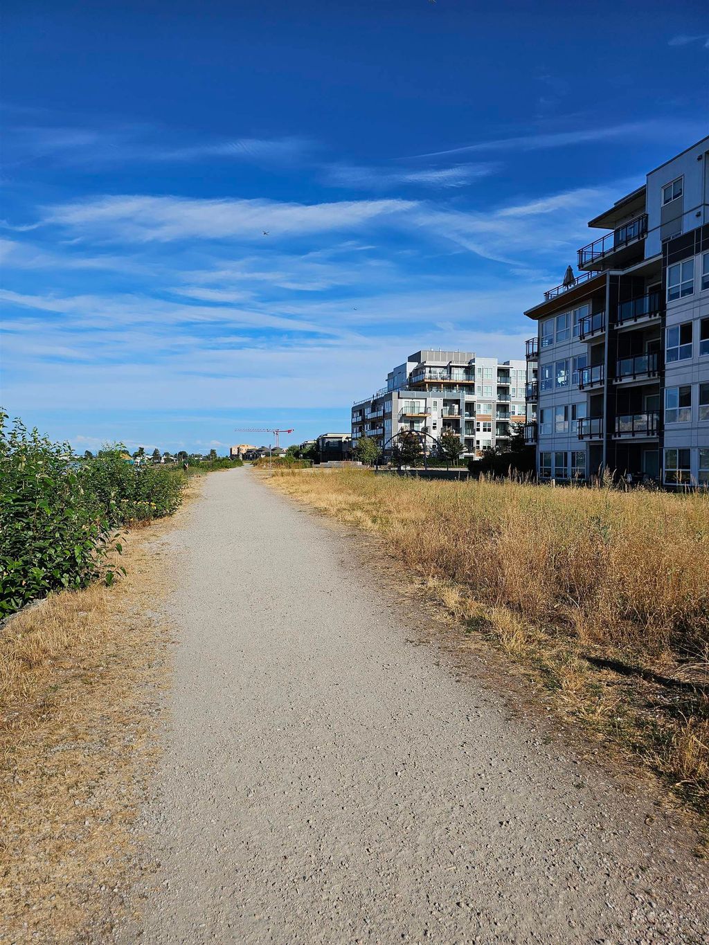 listing image 1105982284259362459