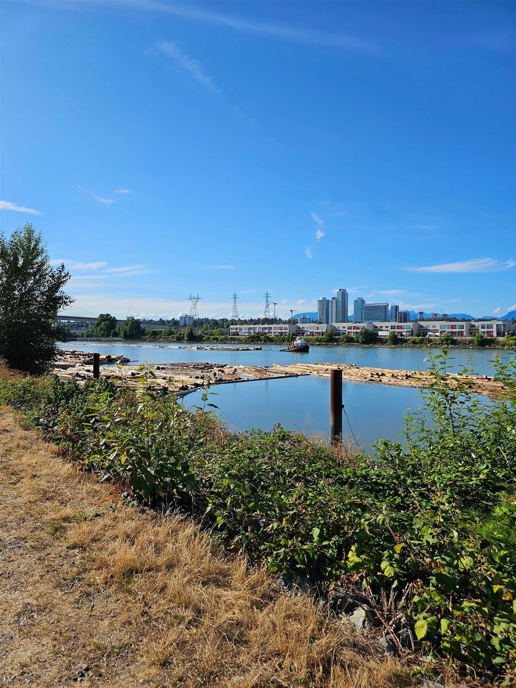 listing image 1103387740055719286