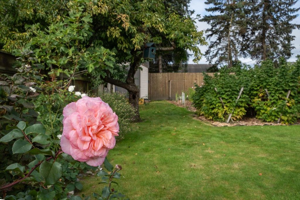 listing image 1106531544776051358