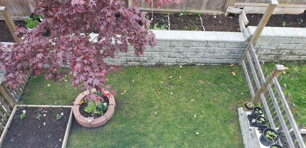 listing image 1107569089510243762
