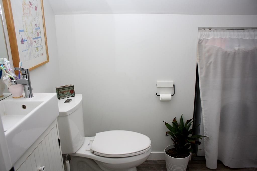 listing image 1100913323280290341