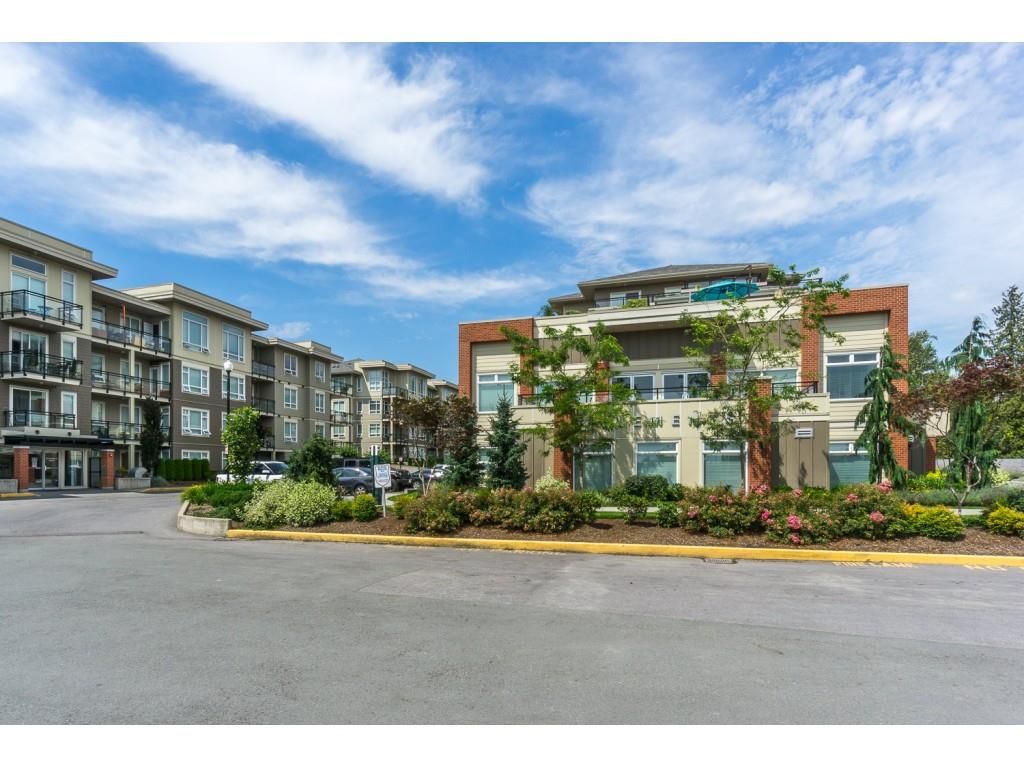 listing image 1103362780488088936