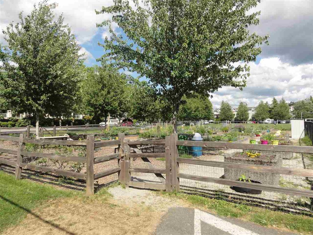 listing image 1100325510103474457