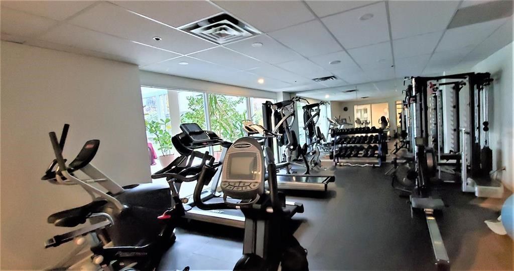 listing image 1109966310749209985