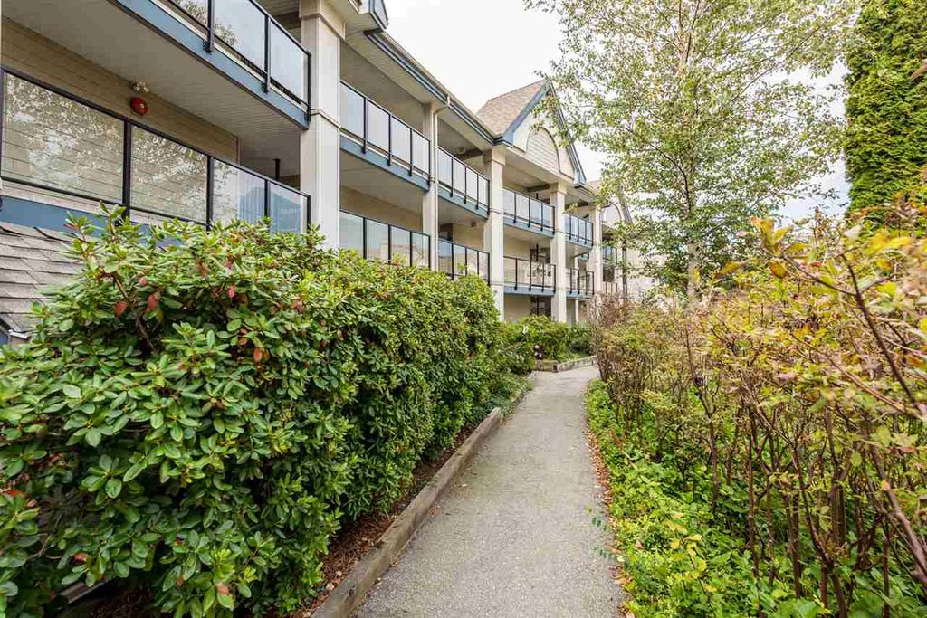 listing image 1104189153112122026
