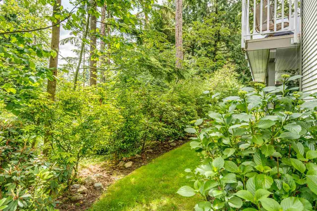 listing image 1108938844742569115