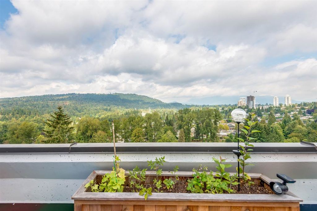 listing image 1102931556358924672
