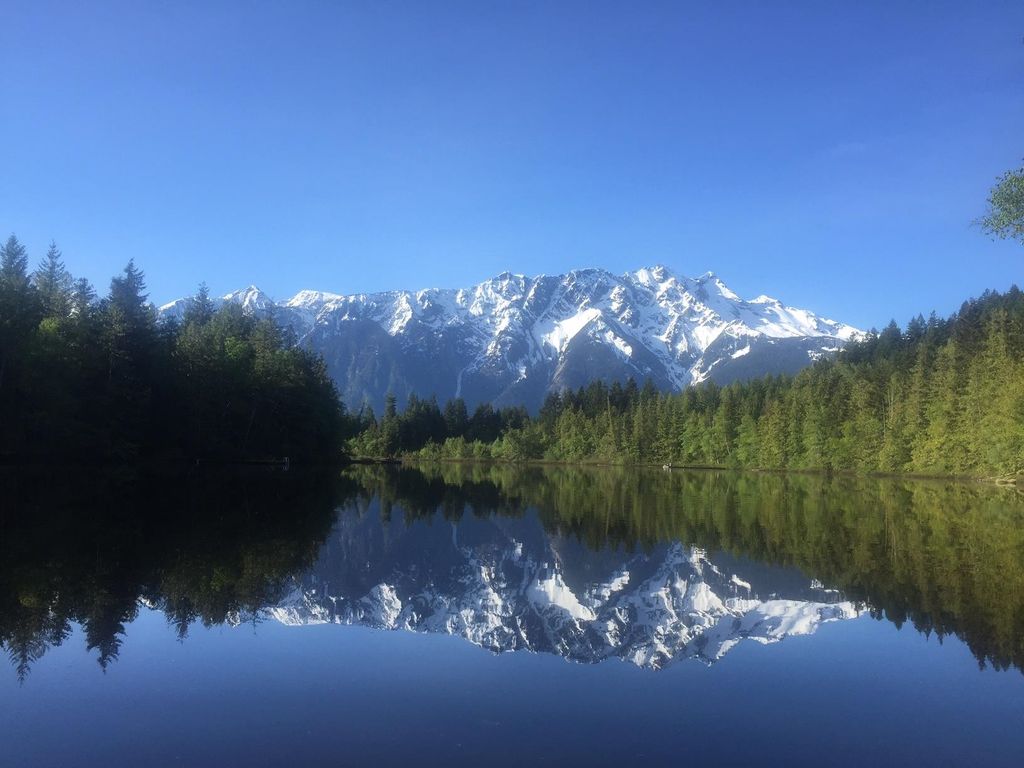 listing image 1107664083249430735