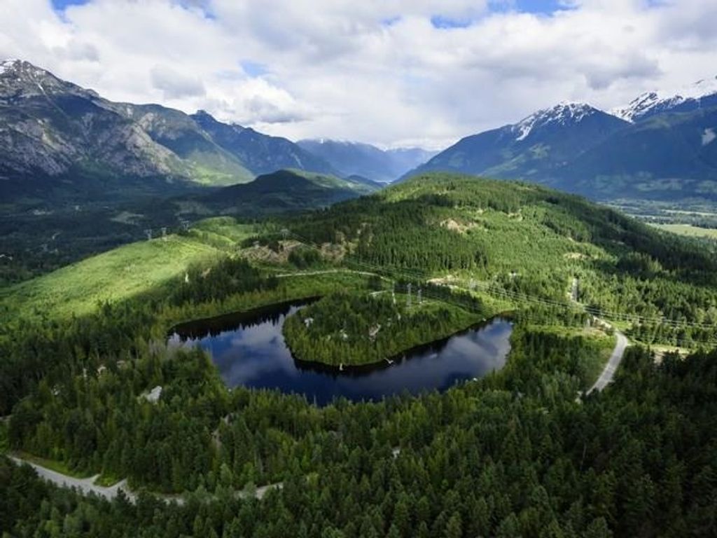 listing image 1105585111159043933