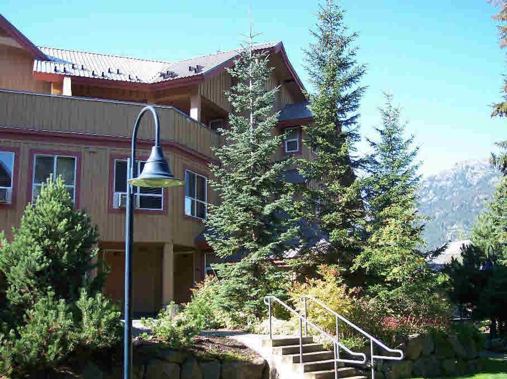 listing image 1101400185861502491