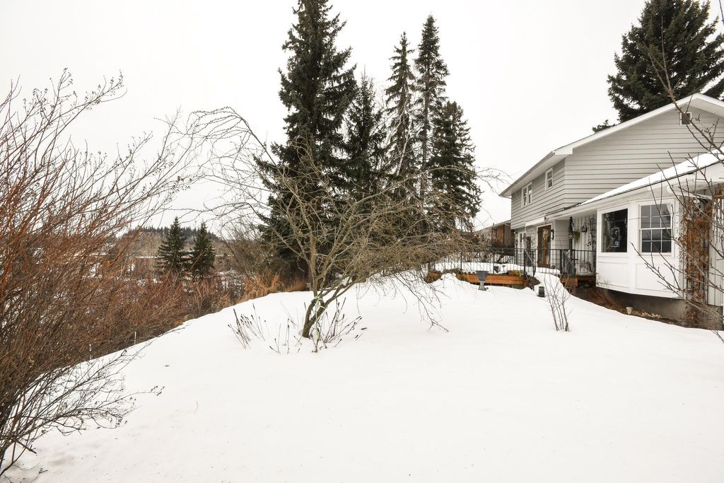 listing image 1104388926634640570