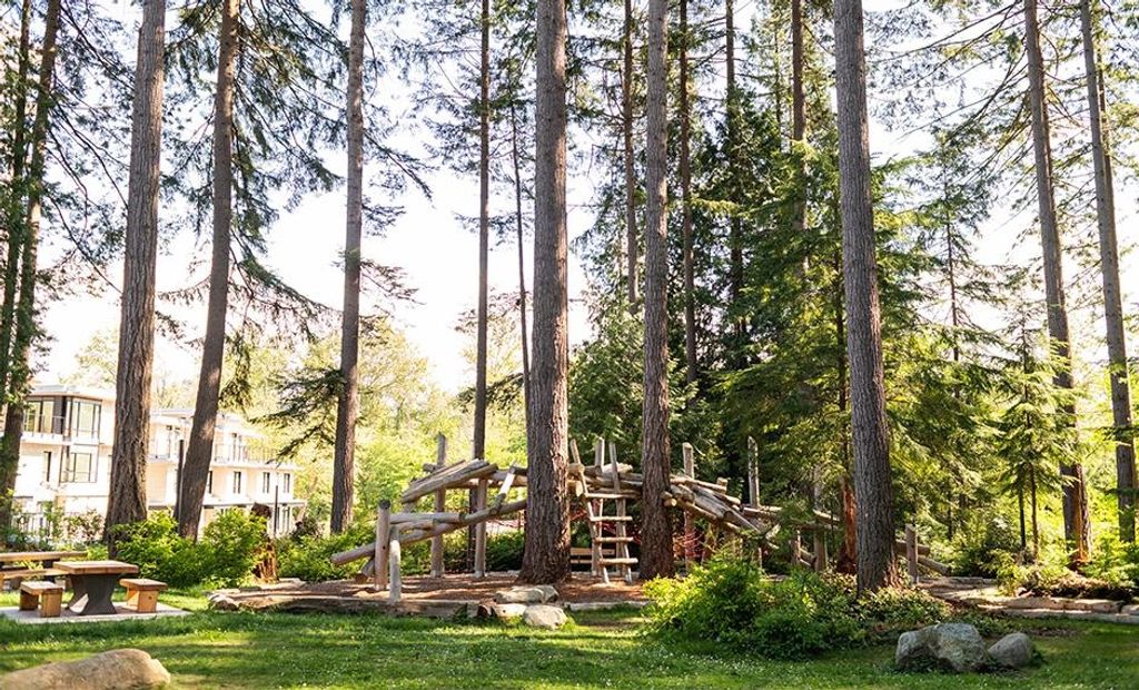 listing image 1102886236383257584