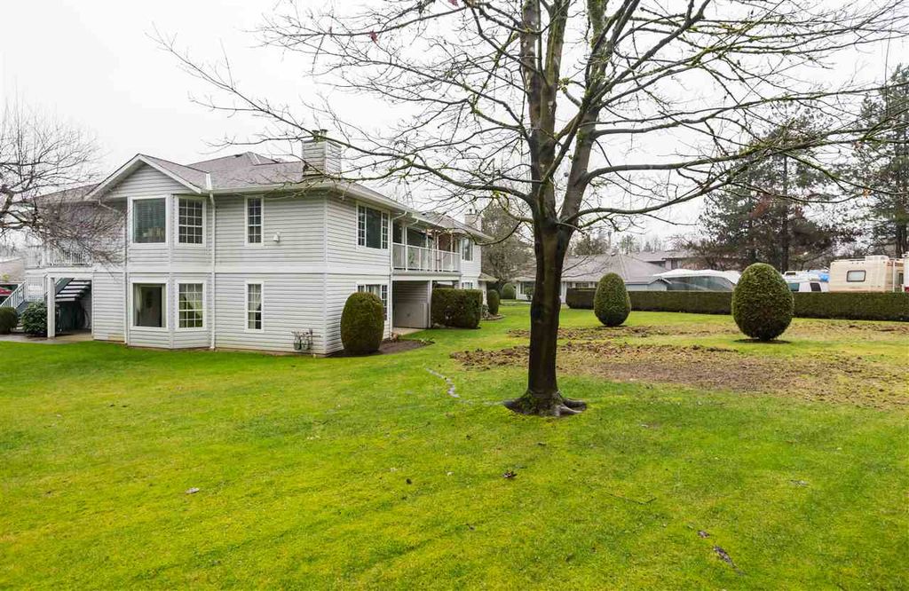 listing image 1101154627389470471