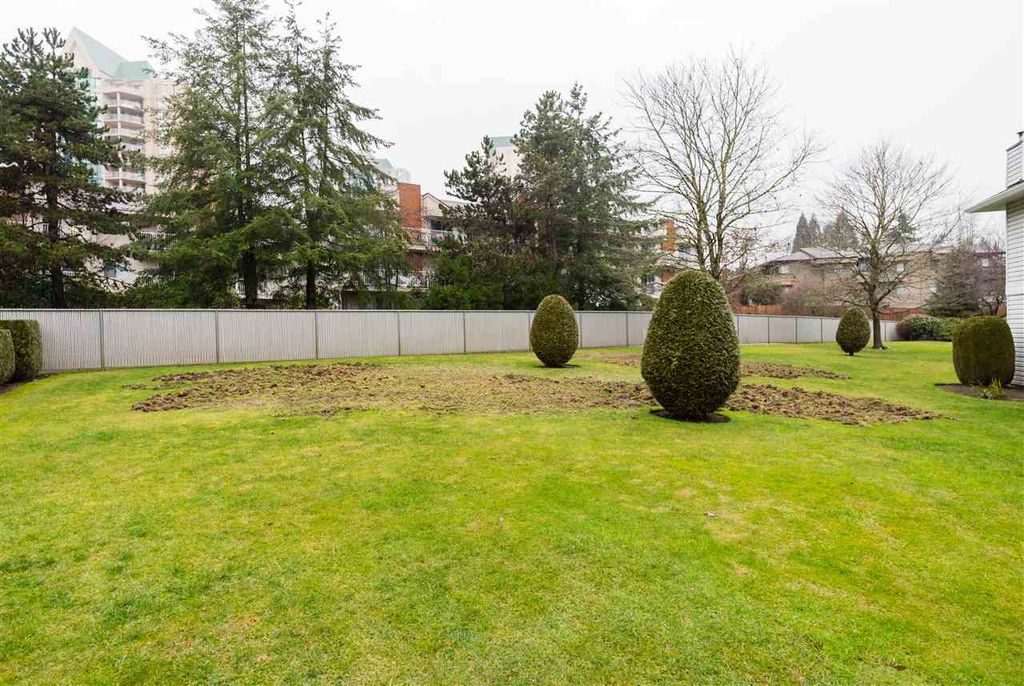 listing image 1107246981545499624