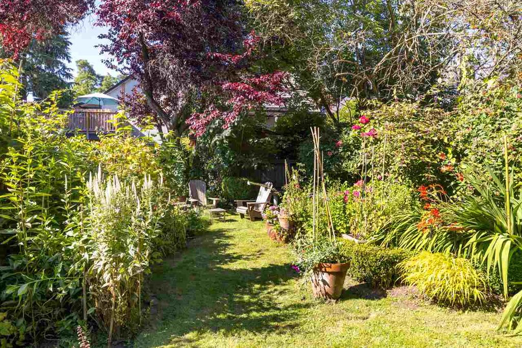 listing image 1105527385782503470