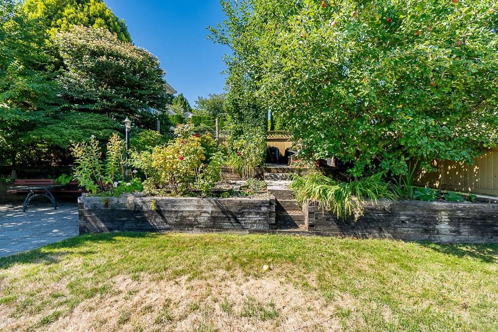listing image 1100582269666915525