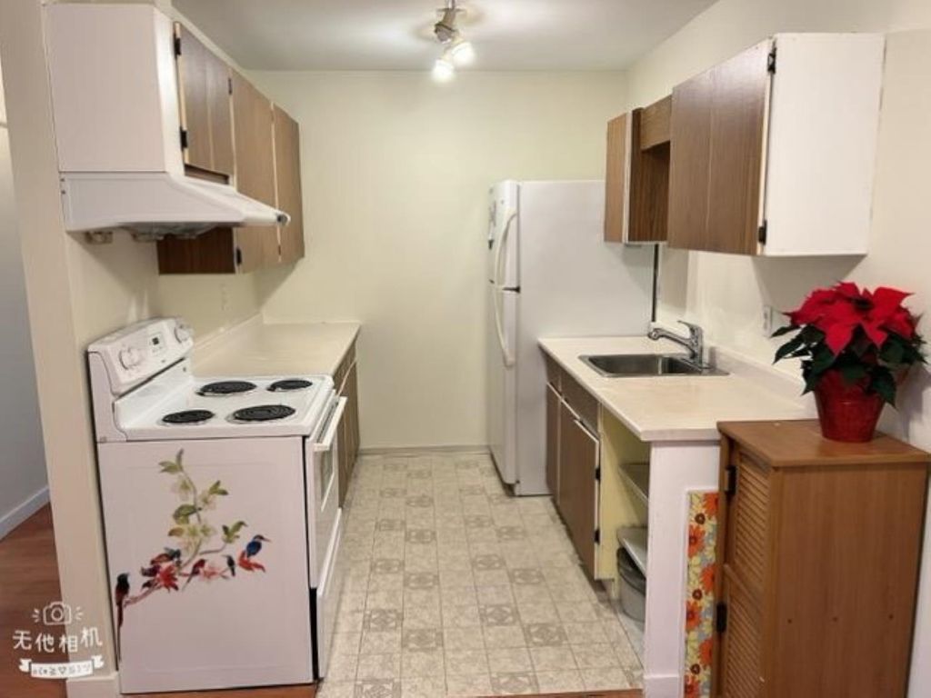 listing image 1108043973852446795