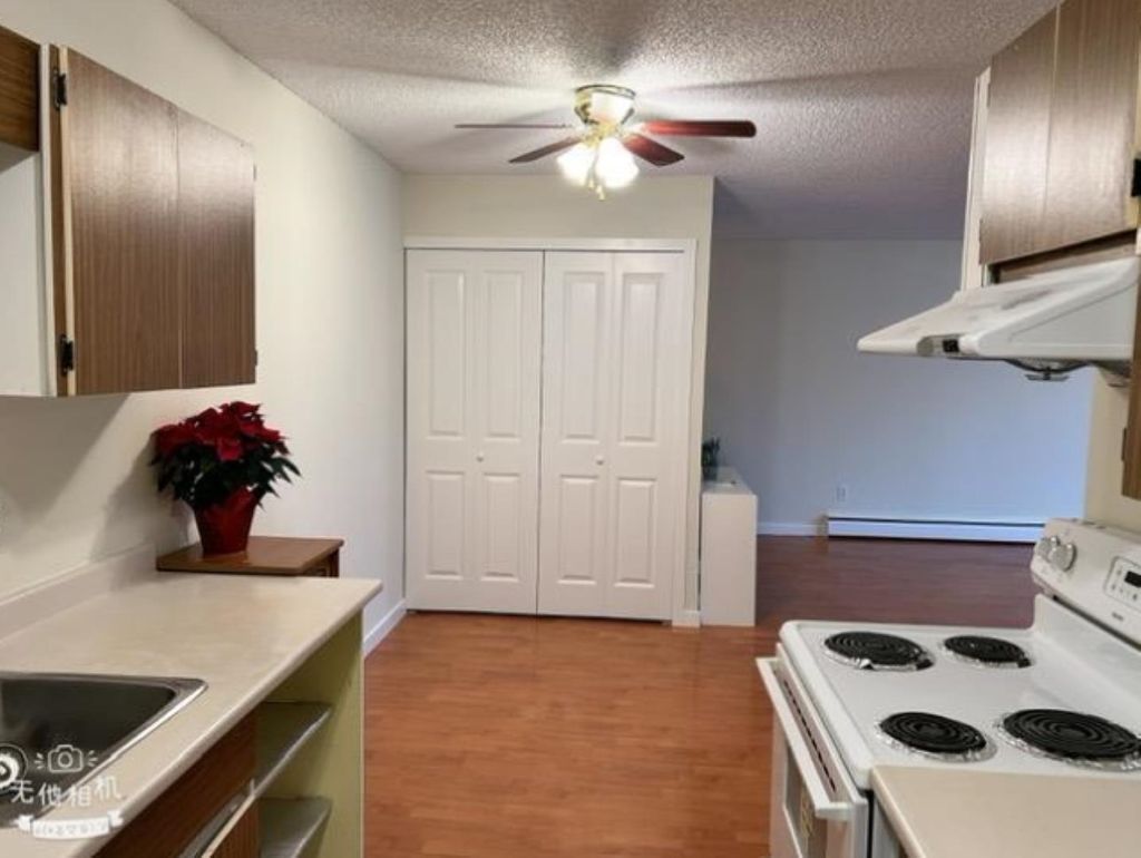listing image 1103039222139685120