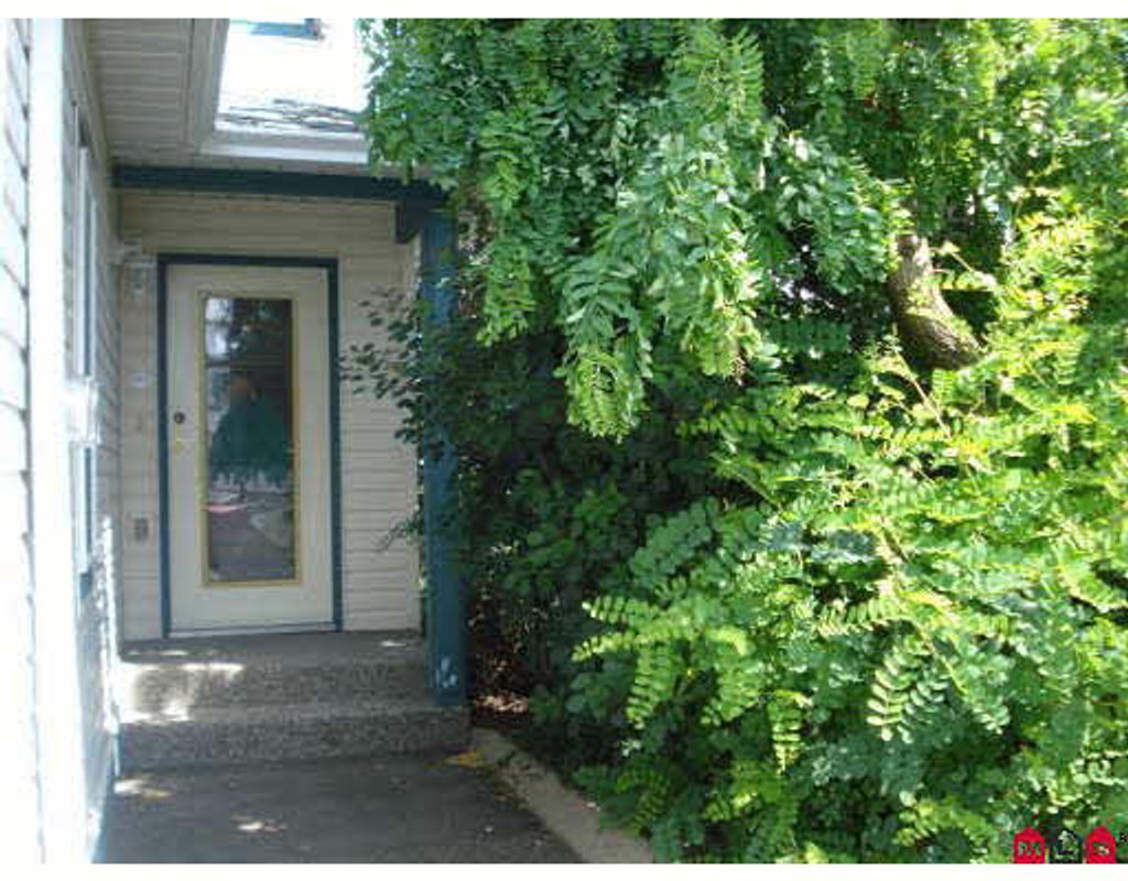 listing image 1101200959842249112