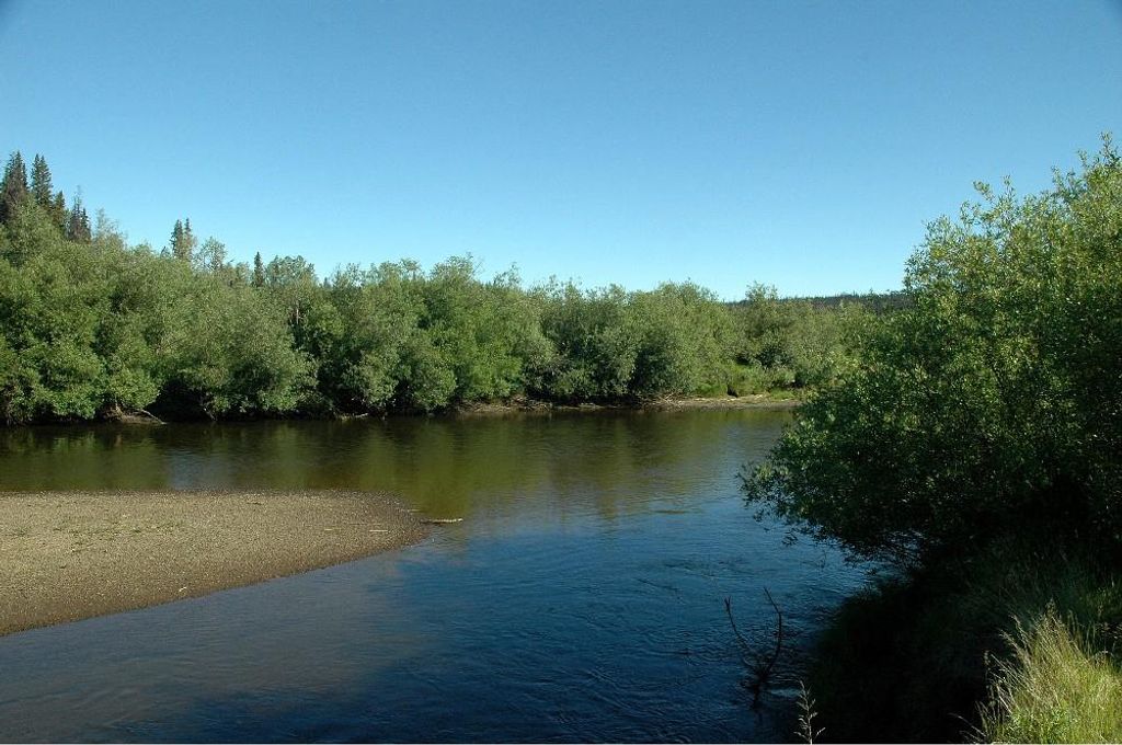 listing image 1103464299348756974