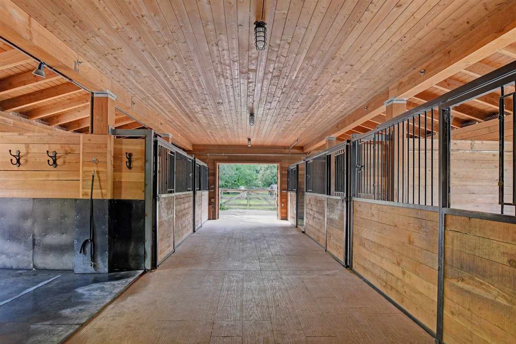 listing image 1107772786436693021