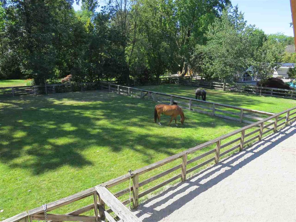 listing image 1102355647982046445