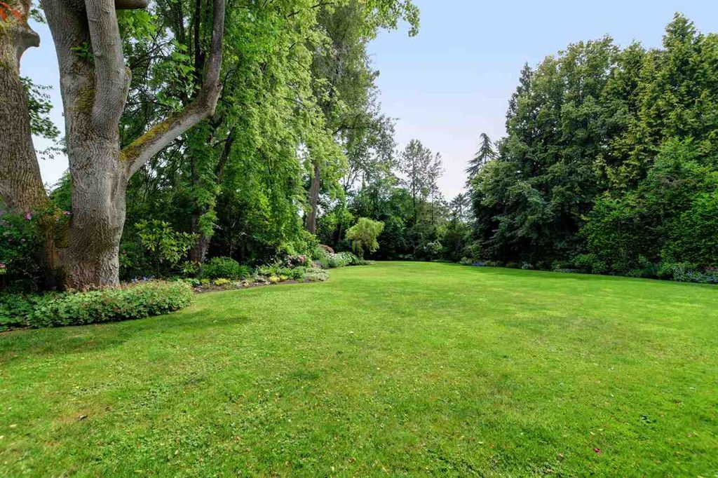 listing image 1104588954249029402
