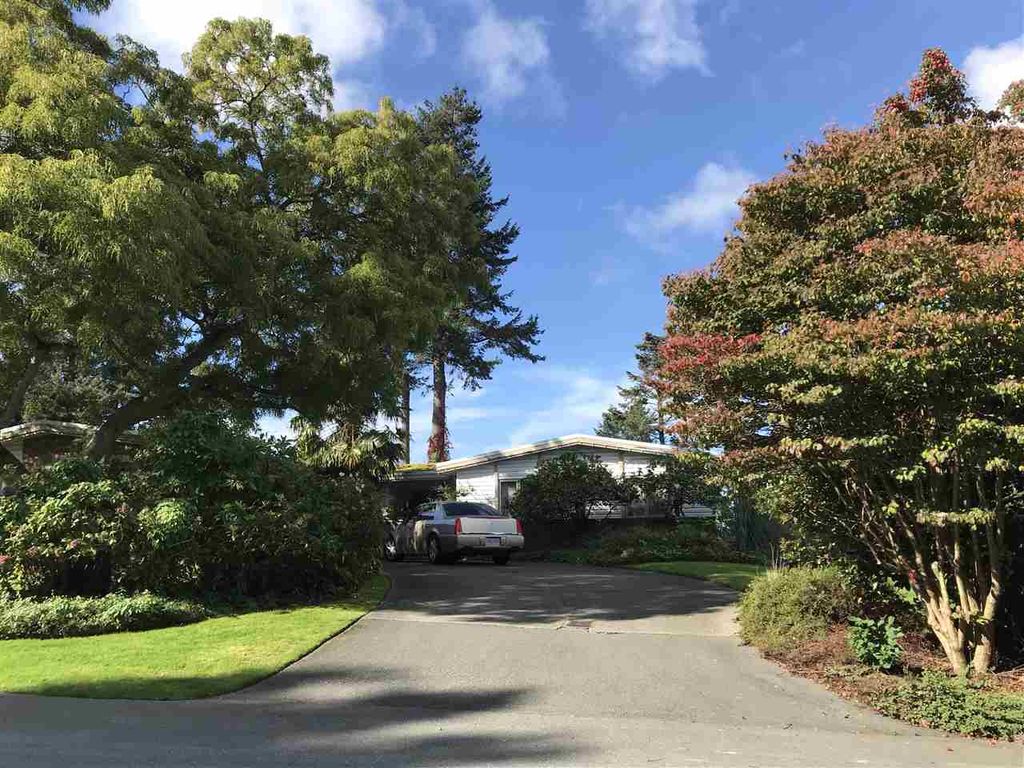 listing image 1108051521137629096