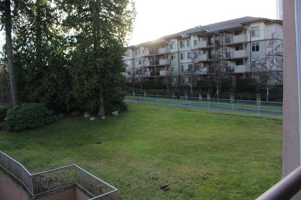 listing image 1106416231020156458