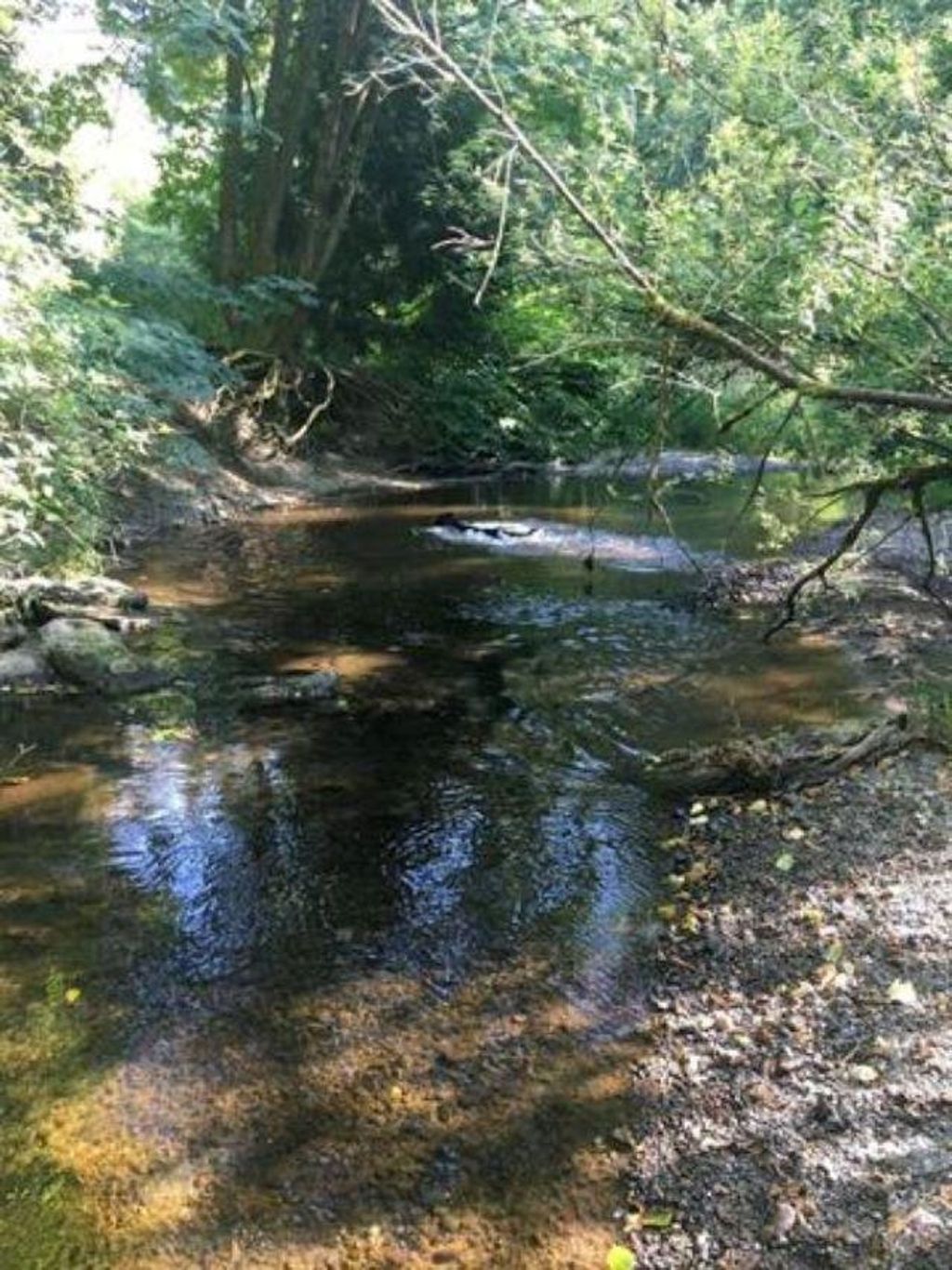 listing image 1109589149485566643