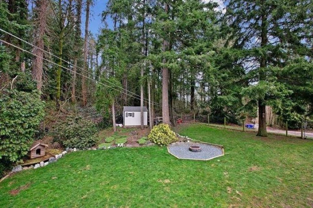 listing image 1103244971258863211