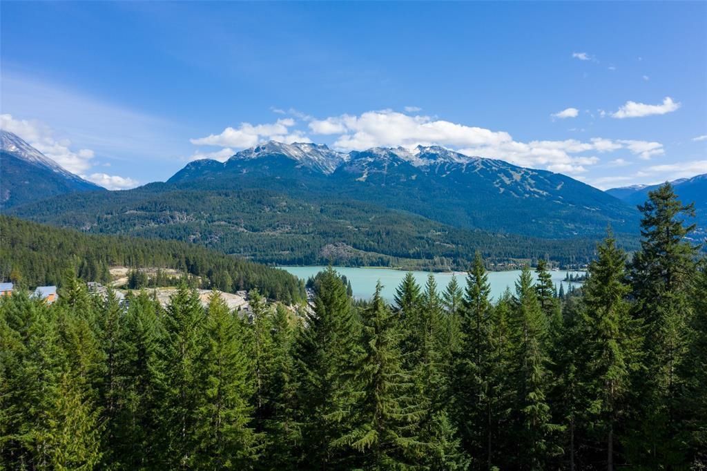 listing image 1105940627480986812
