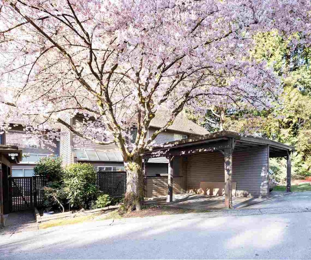 listing image 1105352140649295273