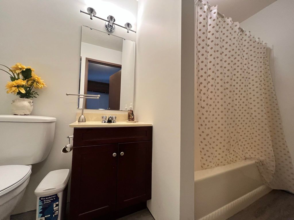 listing image 1106161528019504412