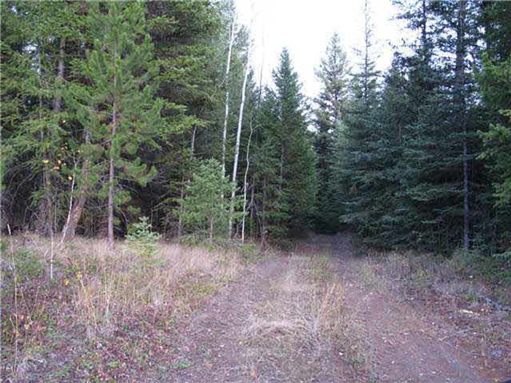 listing image 1108936051842639246