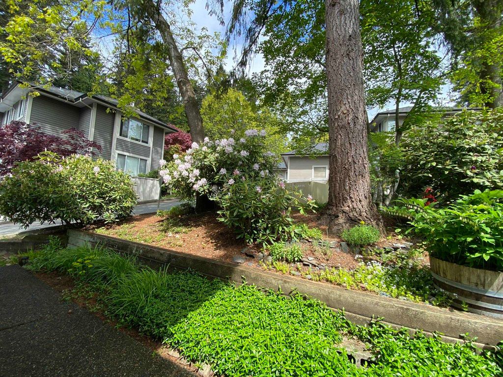 listing image 1100229758526317731