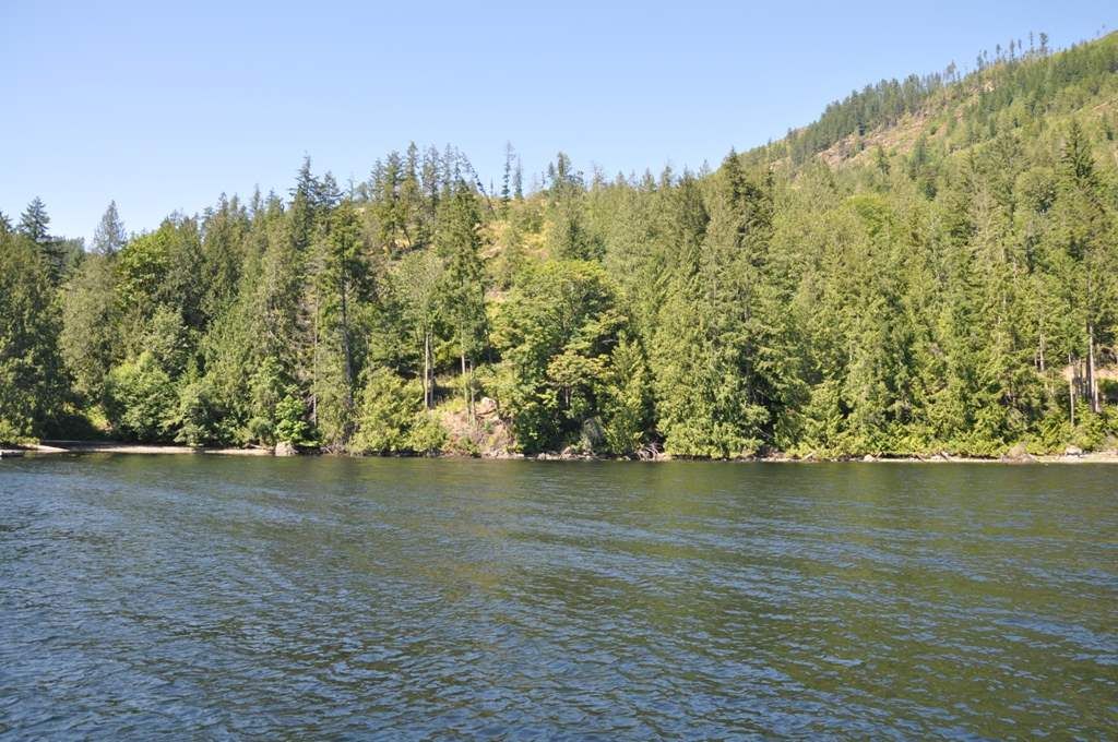 listing image 1102562511159029193