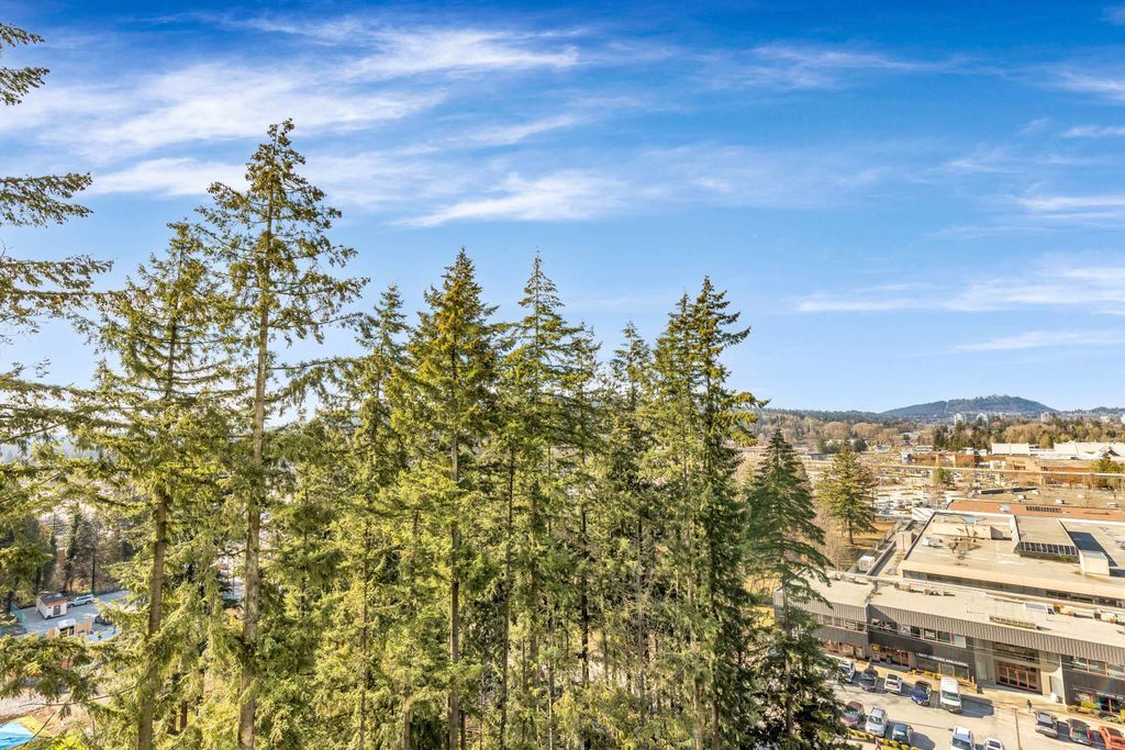 listing image 1102714884054356549