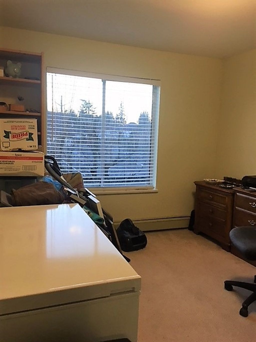 listing image 1108119940202822665