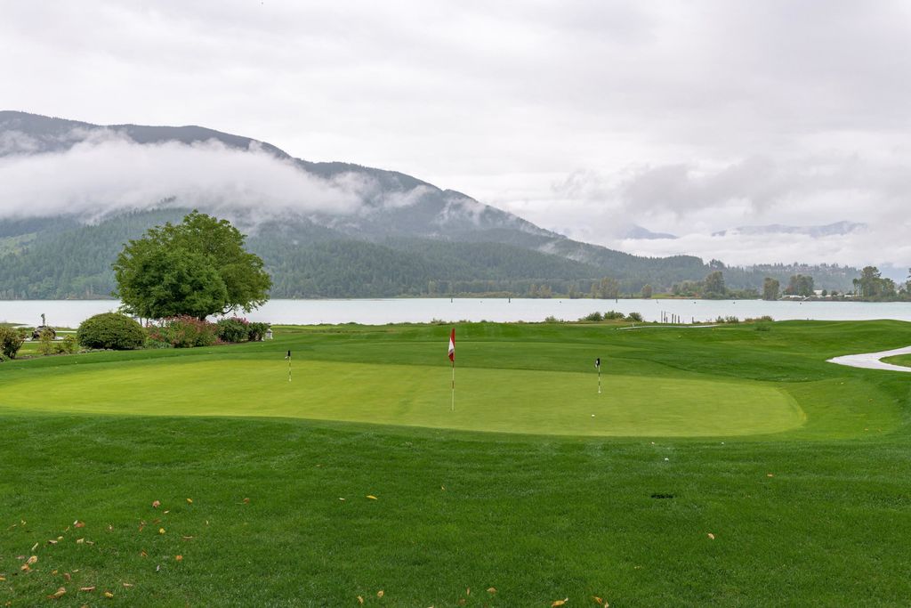 listing image 1102064125104645880