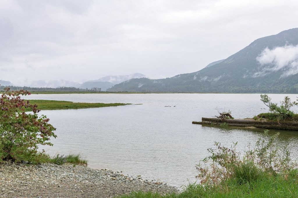 listing image 1103406673839347426