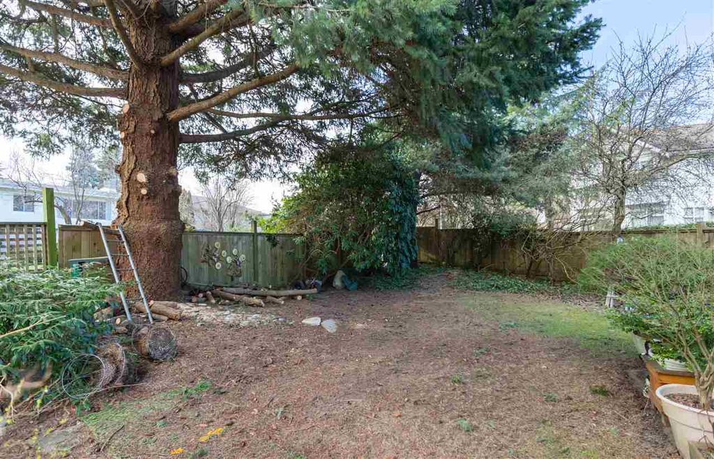 listing image 1106134778083401455