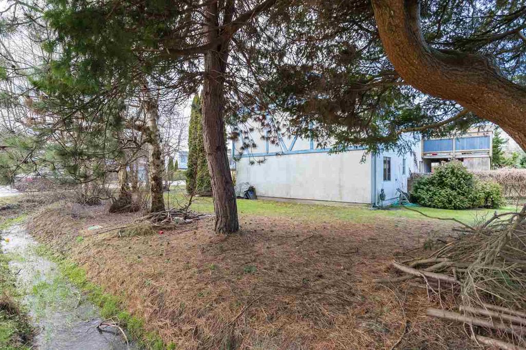 listing image 1101540689132615422