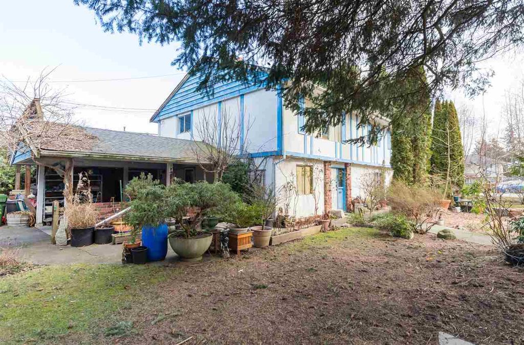 listing image 1102130371732192275